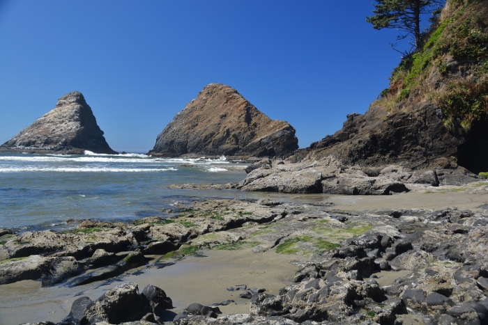 beach at Heceta Head